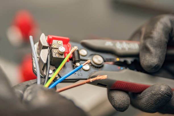 Best Electrical System Inspection  in Platte, SD
